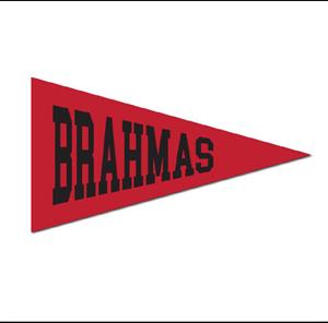 Mini Magnet Pennant